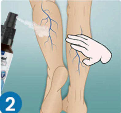 VEINGUARD Herbal Spray 15 56756